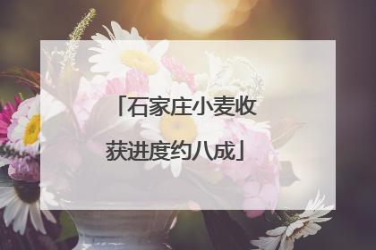 石家庄小麦收获进度约八成