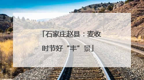 石家庄赵县：麦收时节好“丰”景