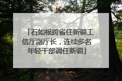 石如根跨省任新疆工信厅副厅长，连续多名年轻干部调任新疆