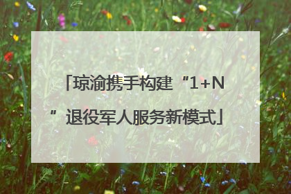 琼渝携手构建“1+N”退役军人服务新模式
