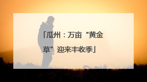 瓜州：万亩“黄金草”迎来丰收季