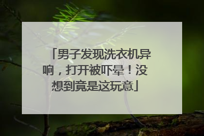 男子发现洗衣机异响，打开被吓晕！没想到竟是这玩意
