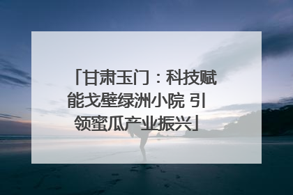 甘肃玉门：科技赋能戈壁绿洲小院 引领蜜瓜产业振兴