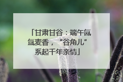 甘肃甘谷：端午氤氲麦香，“谷角儿”系起千年亲情