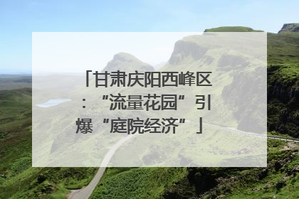 甘肃庆阳西峰区：“流量花园”引爆“庭院经济”