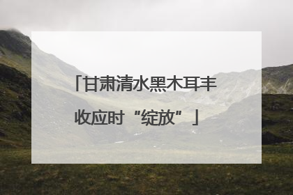 甘肃清水黑木耳丰收应时“绽放”