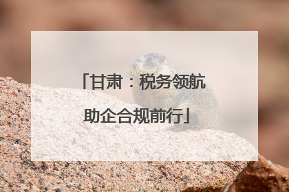 甘肃：税务领航 助企合规前行