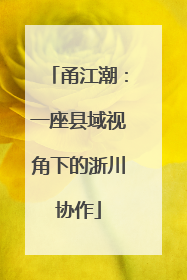 甬江潮：一座县域视角下的浙川协作