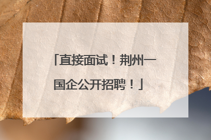 直接面试！荆州一国企公开招聘！