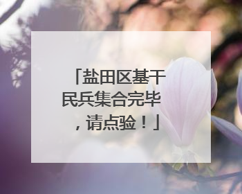 盐田区基干民兵集合完毕，请点验！