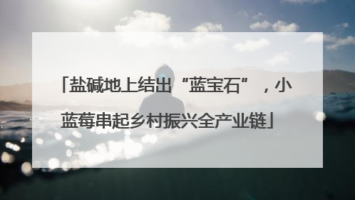 盐碱地上结出“蓝宝石”，小蓝莓串起乡村振兴全产业链