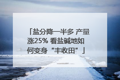 盐分降一半多 产量涨25% 看盐碱地如何变身“丰收田”