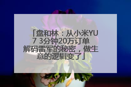 盘和林：从小米YU7 3分钟20万订单解码雷军的秘密，做生意的逻辑变了