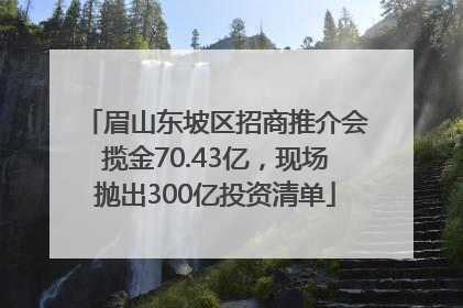 眉山东坡区招商推介会揽金70.43亿，现场抛出300亿投资清单