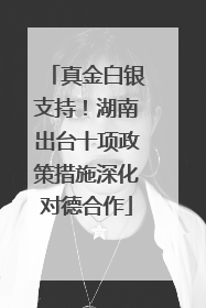 真金白银支持！湖南出台十项政策措施深化对德合作