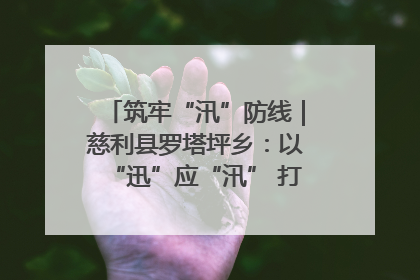 筑牢“汛”防线｜慈利县罗塔坪乡：以“迅”应“汛” 打赢暴雨防御战