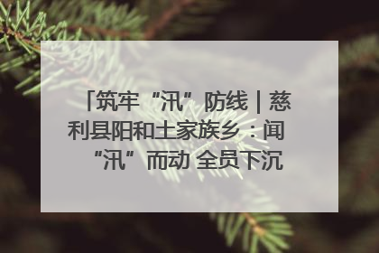 筑牢“汛”防线｜慈利县阳和土家族乡：闻“汛”而动 全员下沉筑牢防汛“安全堤”