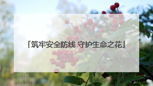 筑牢安全防线 守护生命之花
