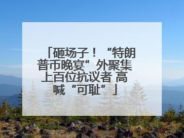 砸场子！“特朗普币晚宴”外聚集上百位抗议者 高喊“可耻”