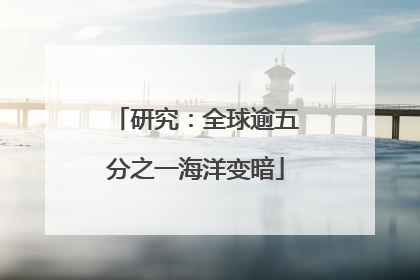 研究：全球逾五分之一海洋变暗