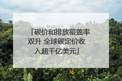 碳价和排放覆盖率双升 全球碳定价收入超千亿美元
