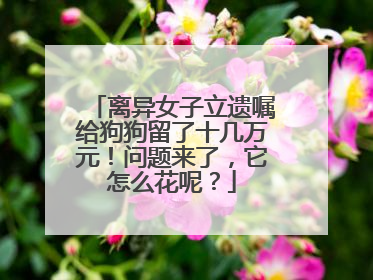 离异女子立遗嘱给狗狗留了十几万元！问题来了，它怎么花呢？
