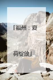 福州：夏荷绽放