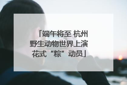 端午将至 杭州野生动物世界上演花式“粽”动员