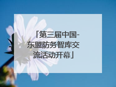 第三届中国-东盟防务智库交流活动开幕