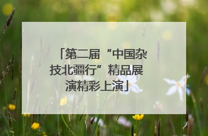 第二届“中国杂技北疆行”精品展演精彩上演