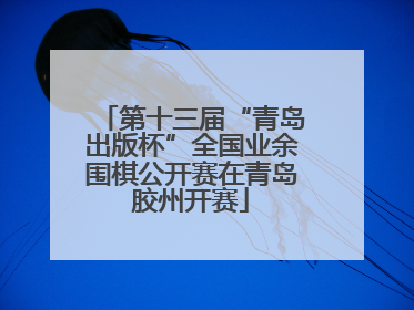 第十三届“青岛出版杯”全国业余围棋公开赛在青岛胶州开赛