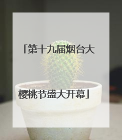 第十九届烟台大樱桃节盛大开幕