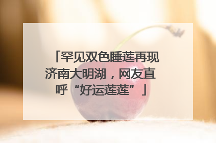 罕见双色睡莲再现济南大明湖，网友直呼“好运莲莲”