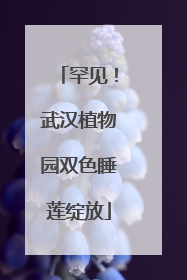 罕见！武汉植物园双色睡莲绽放