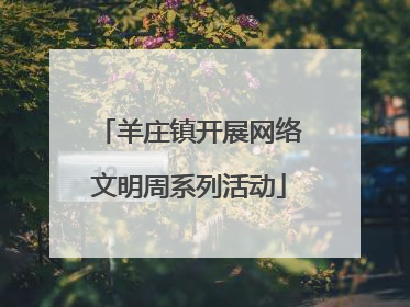 羊庄镇开展网络文明周系列活动