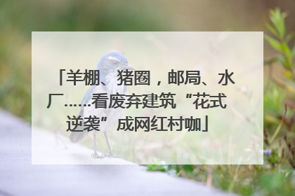 羊棚、猪圈，邮局、水厂……看废弃建筑“花式逆袭”成网红村咖