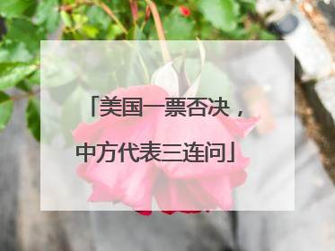 美国一票否决，中方代表三连问