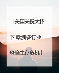 美国关税大棒下 欧洲多行业恐陷生存危机