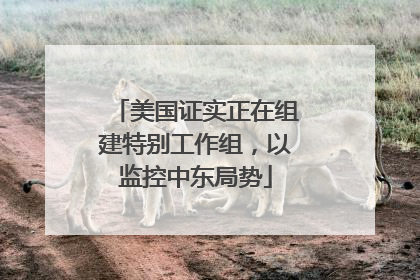 美国证实正在组建特别工作组，以监控中东局势