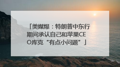 美媒爆：特朗普中东行期间承认自己和苹果CEO库克“有点小问题”