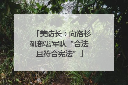 美防长：向洛杉矶部署军队“合法且符合宪法”