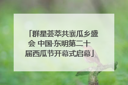 群星荟萃共襄瓜乡盛会 中国·东明第二十届西瓜节开幕式启幕