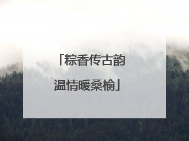 粽香传古韵 温情暖桑榆
