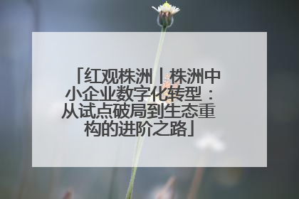 红观株洲丨株洲中小企业数字化转型：从试点破局到生态重构的进阶之路