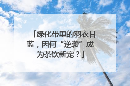绿化带里的羽衣甘蓝，因何“逆袭”成为茶饮新宠？