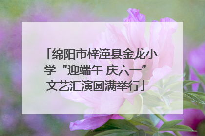绵阳市梓潼县金龙小学“迎端午 庆六一”文艺汇演圆满举行