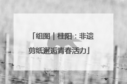 组图｜桂阳：非遗剪纸邂逅青春活力