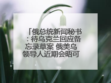 俄总统新闻秘书：待乌克兰回应备忘录草案 俄美乌领导人近期会晤可能性小