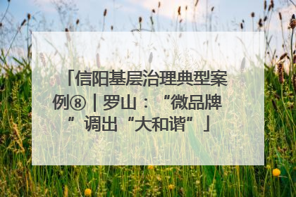 信阳基层治理典型案例⑧｜罗山：“微品牌”调出“大和谐”