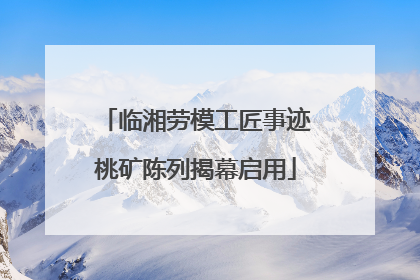 临湘劳模工匠事迹桃矿陈列揭幕启用